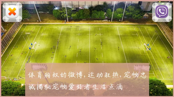 体育狗奴的微博,运动狂热,宠物忠诚揭秘宠物爱好者生活点滴
