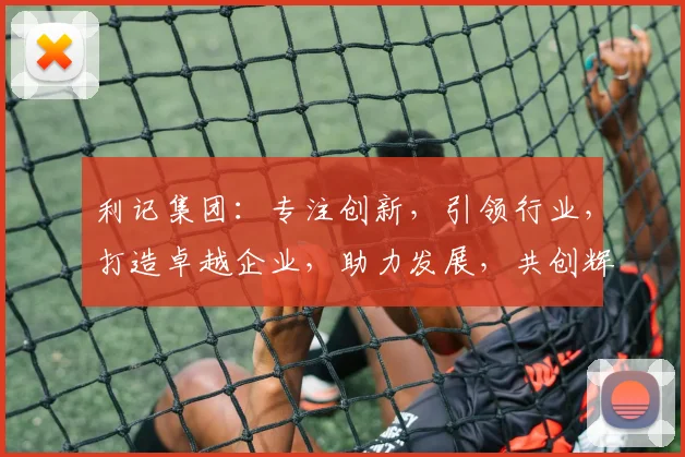利记集团：专注创新，引领行业，打造卓越企业，助力发展，共创辉煌，两步走