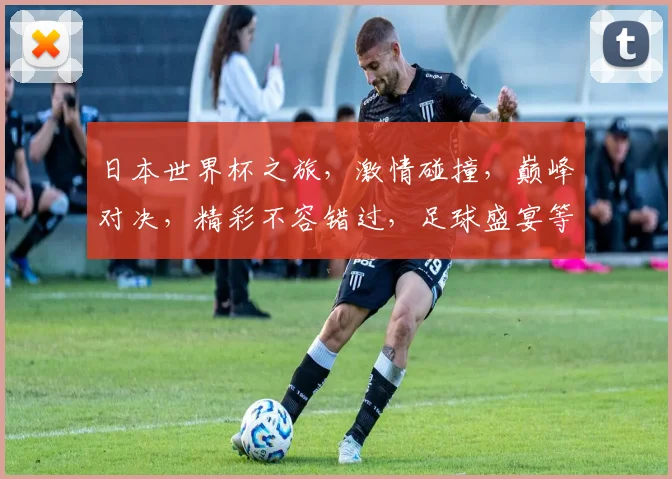 日本世界杯之旅，激情碰撞，巅峰对决，精彩不容错过，足球盛宴等你来