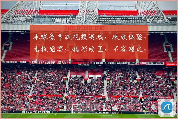 冰球豪华版视频游戏，极致体验，竞技盛宴，精彩纷呈，不容错过，三大亮点，震撼来袭