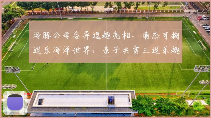 海豚公母各异逗趣亮相，萌态可掬逗乐海洋世界，亲子共赏三逗乐趣多多