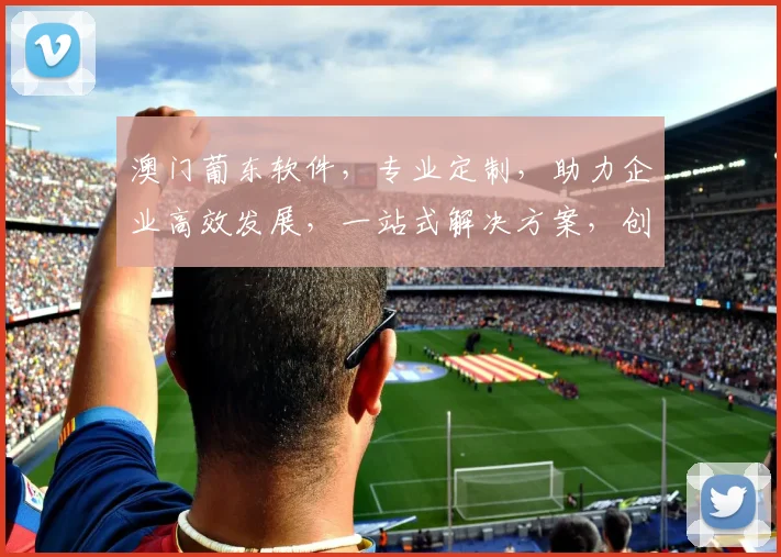 澳门葡东软件，专业定制，助力企业高效发展，一站式解决方案，创新科技引领未来